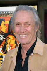 Discover the Unknown Truths About David Carradine's Spouses
