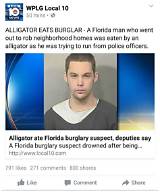 Florida Man's July 17Th Antics: Strange Headlines and Unforgettable Tales