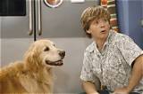 Jason Earl Hannah Montana: the Unsung Hero of the Hit Disney Series