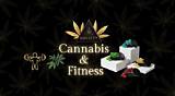 Snoopable Edibles: Elevate Your Mood with Snoop Dogg Gummies