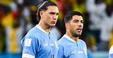 The Truth About the Suarez Kid: an Insider's Perspective