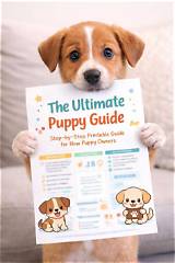 The Ultimate Guide to Gifting a Puppy for Christmas: a Joyous Surprise for the Holidays