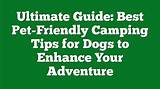 The Ultimate Guide to the Best Dog Breeds for Air Travel